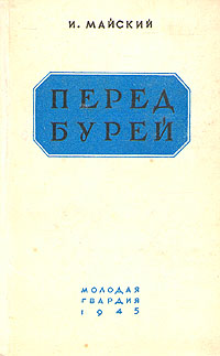 Перед бурей
