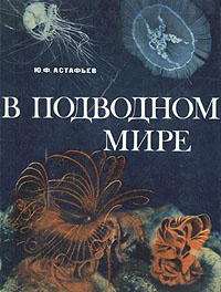 В подводном мире