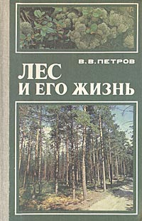 Лес и его жизнь