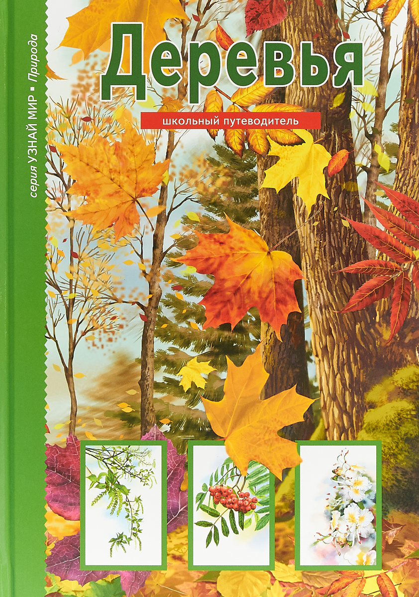 Деревья. Школьный путеводитель