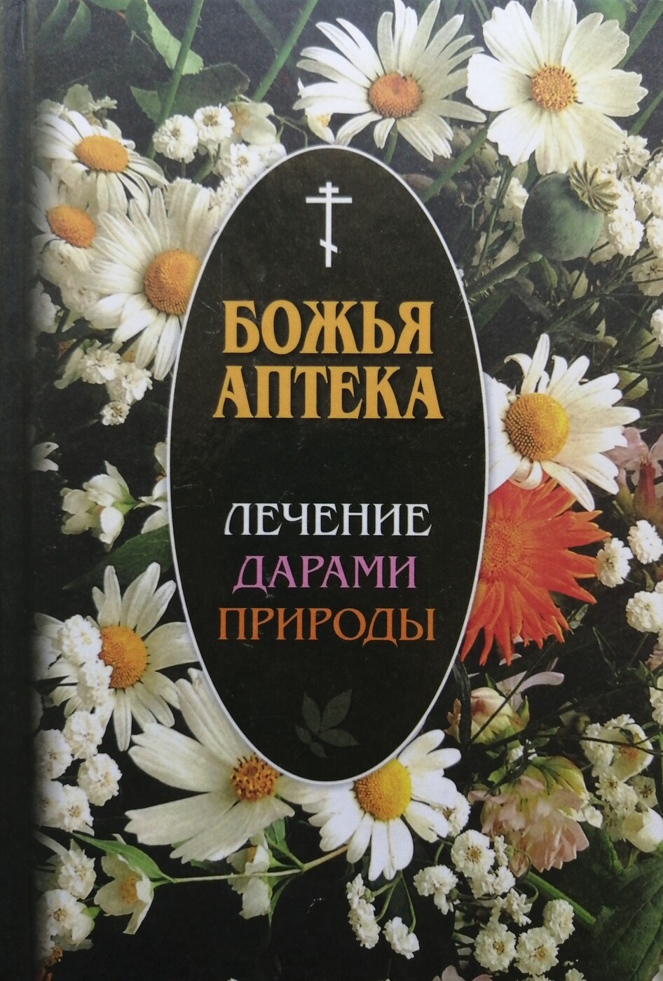 Божья аптека. Лечение дарами природы