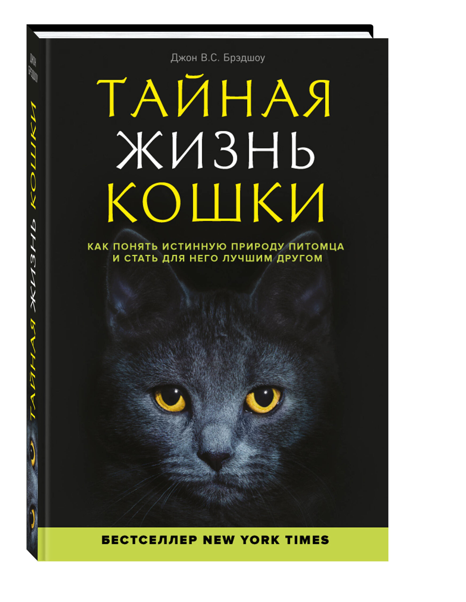 Тайная жизнь кошки. Как понять истинную природу питомца и стать для него лучшим другом