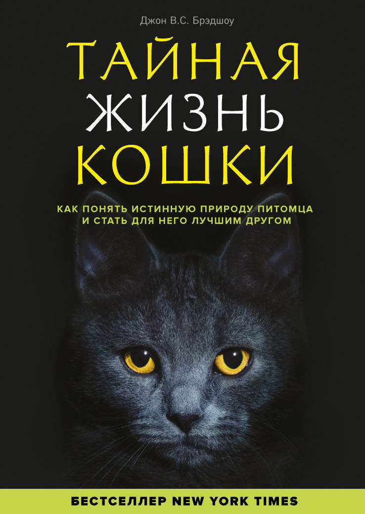 Тайная жизнь кошки. Как понять истинную природу питомца и стать для него лучшим другом — изображение 2