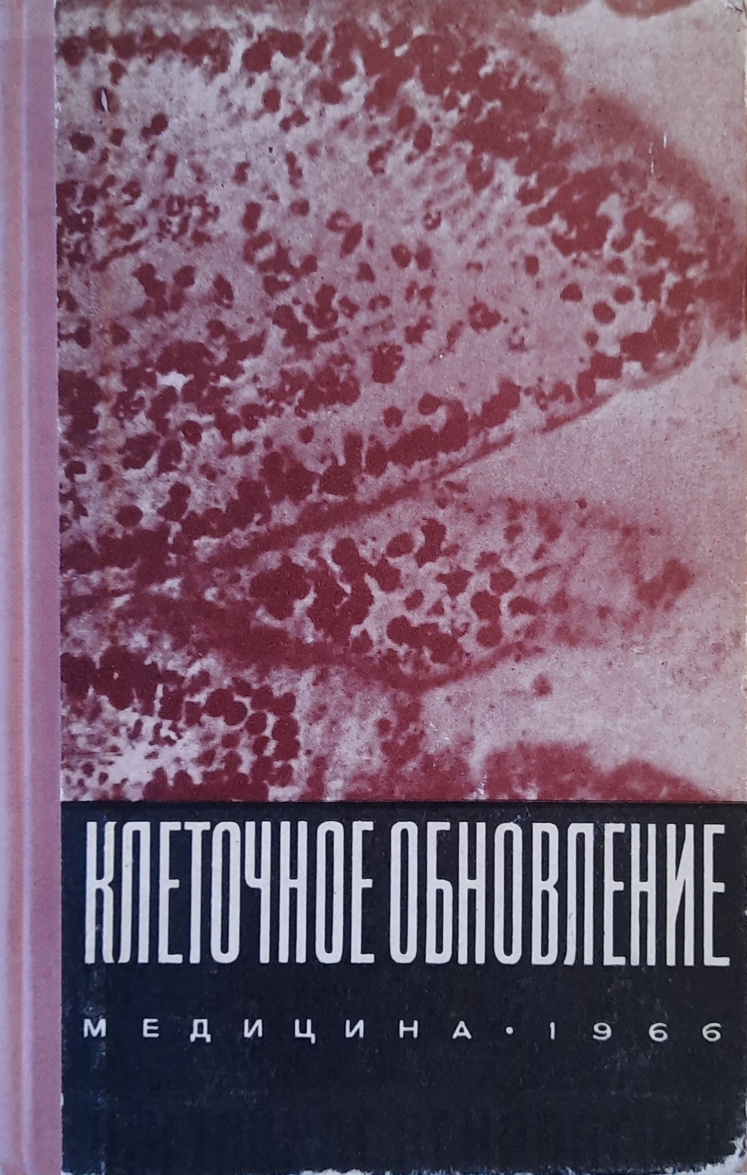 Клеточное обновление