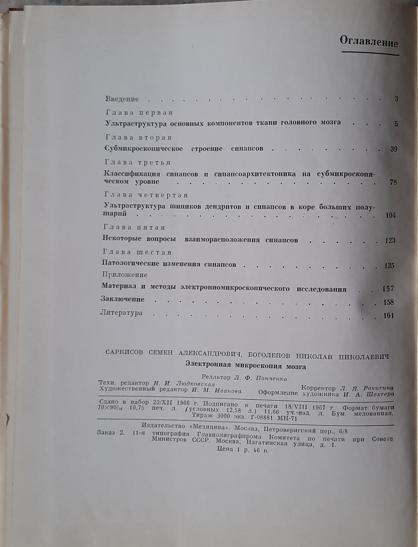 Электронная микроскопия мозга — изображение 2