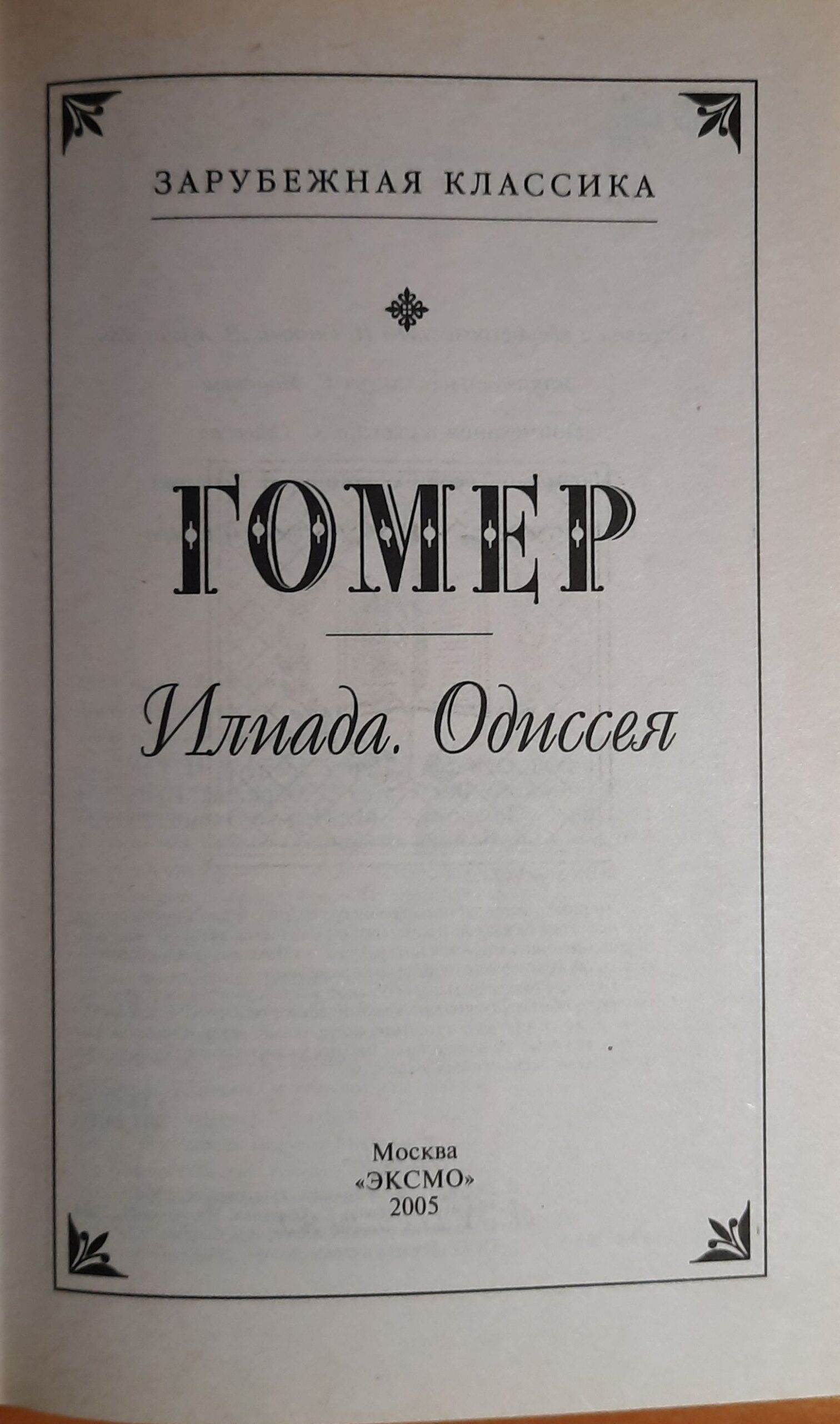 Гомер. Илиада. Одиссея — изображение 2