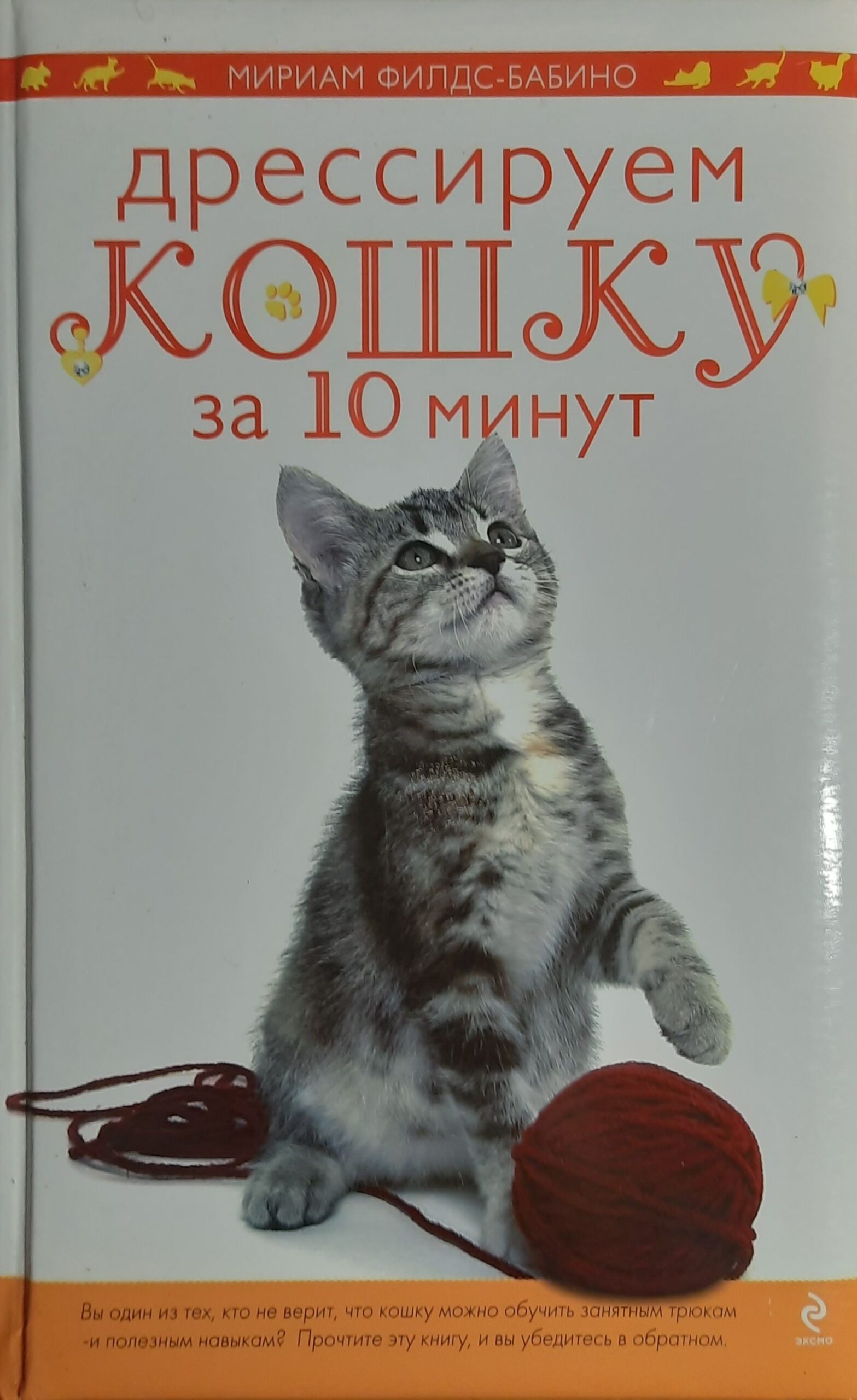 Дрессируем кошку за 10 минут