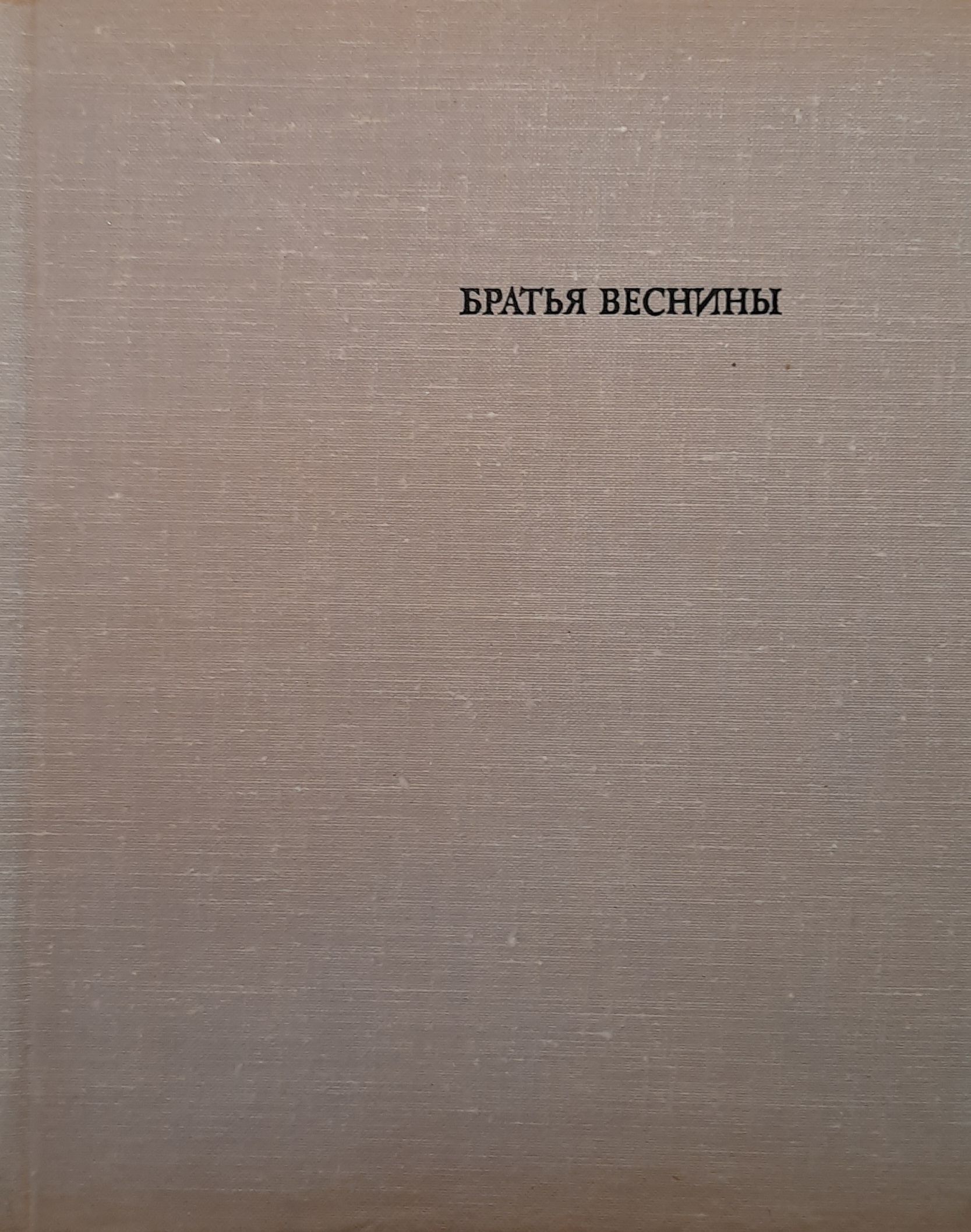 Братья Веснины — изображение 2