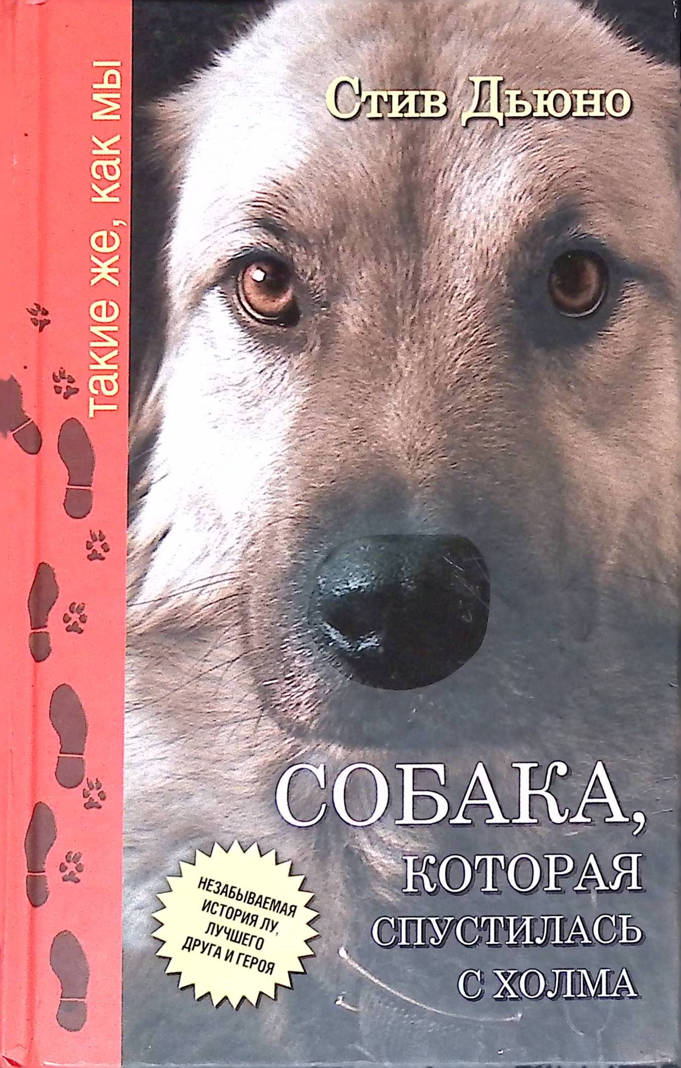 Собака, которая спустилась с холма. Незабываемая история