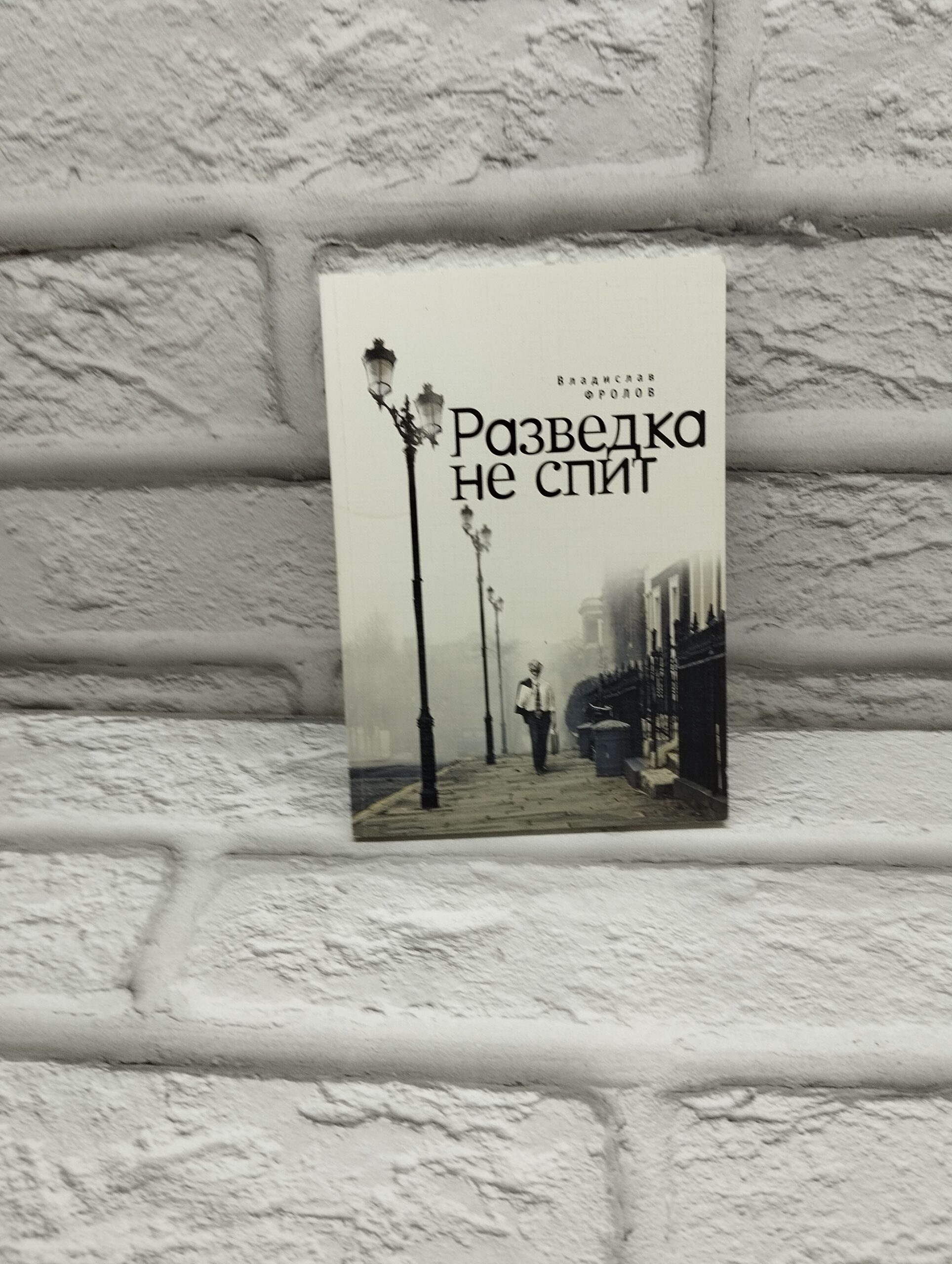 Разведка не спит. Владислав Фролов