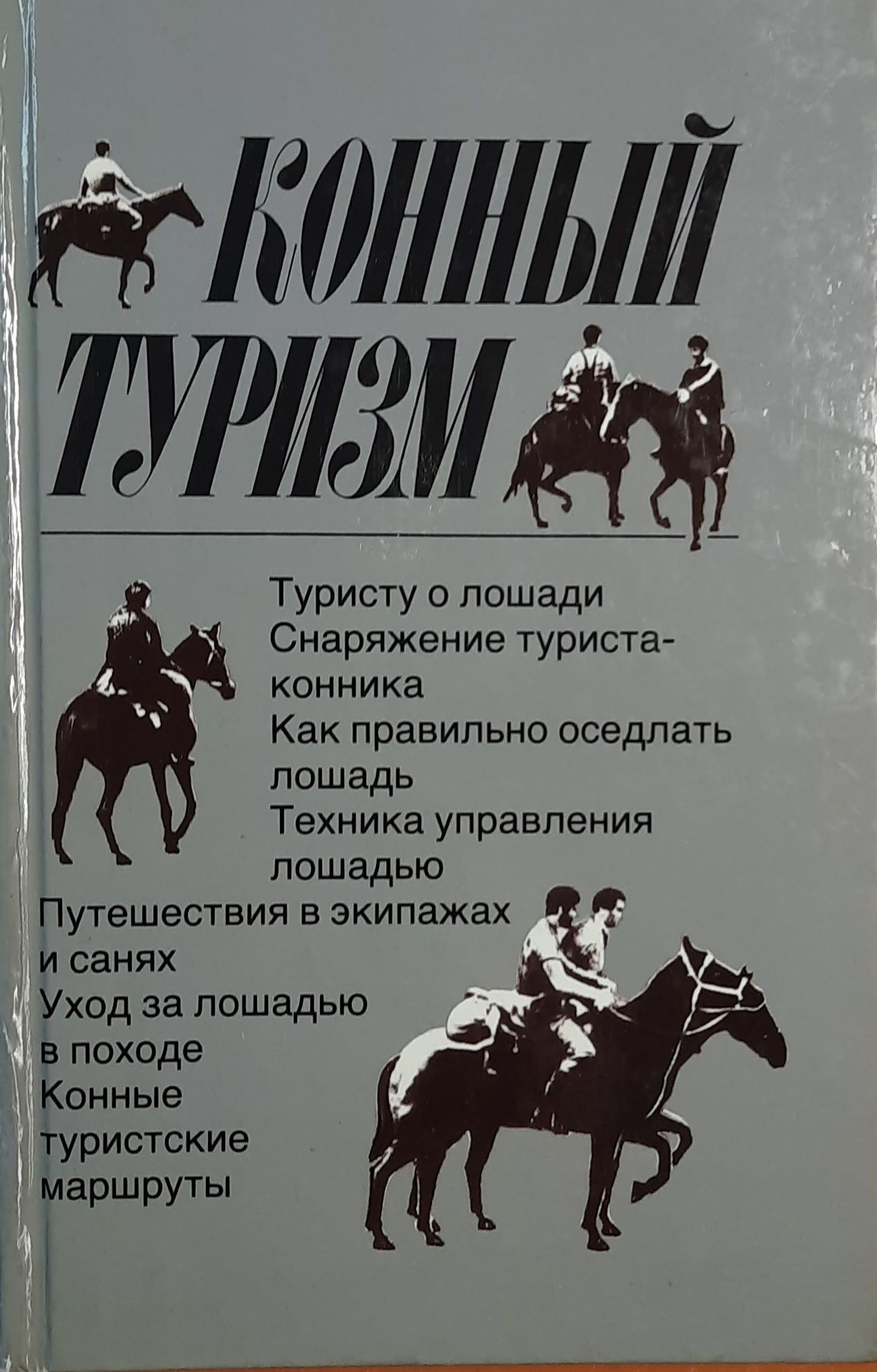 Конный туризм