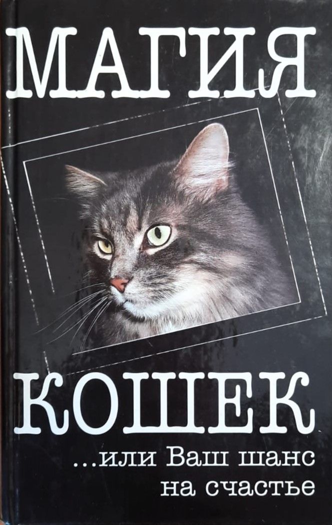 Магия кошек