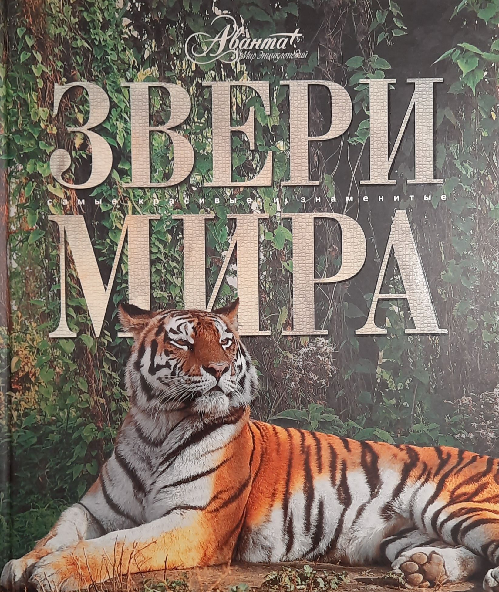 Звери мира. Самые красивые и знаменитые