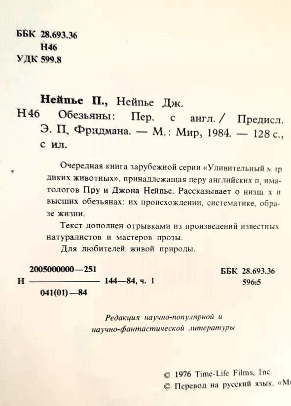 Обезьяны — изображение 3