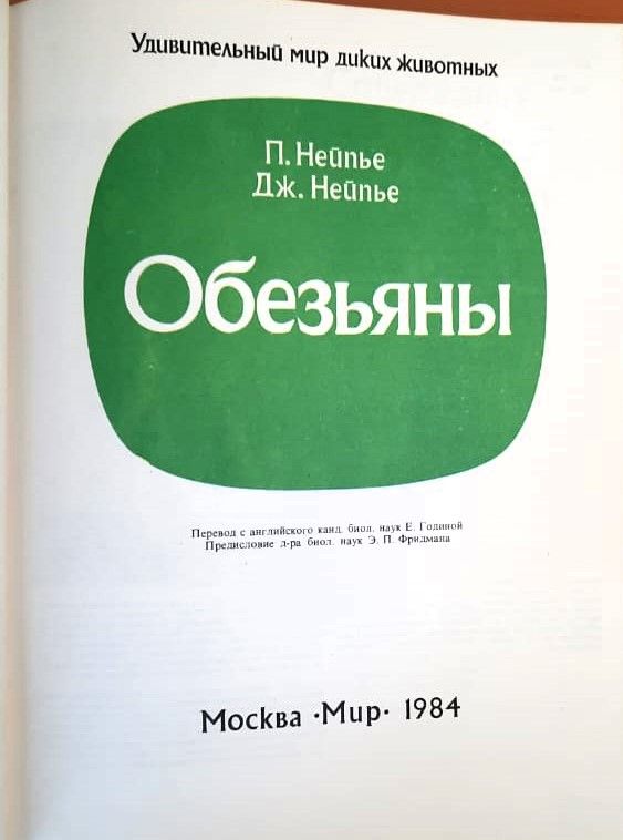 Обезьяны — изображение 2