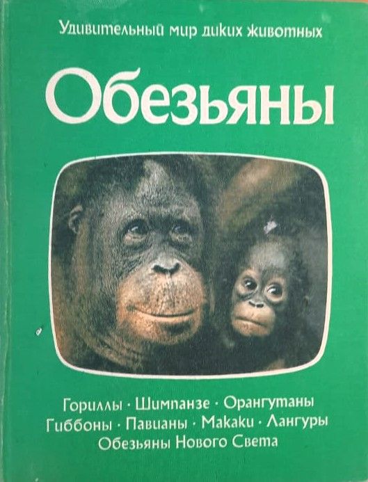 Обезьяны