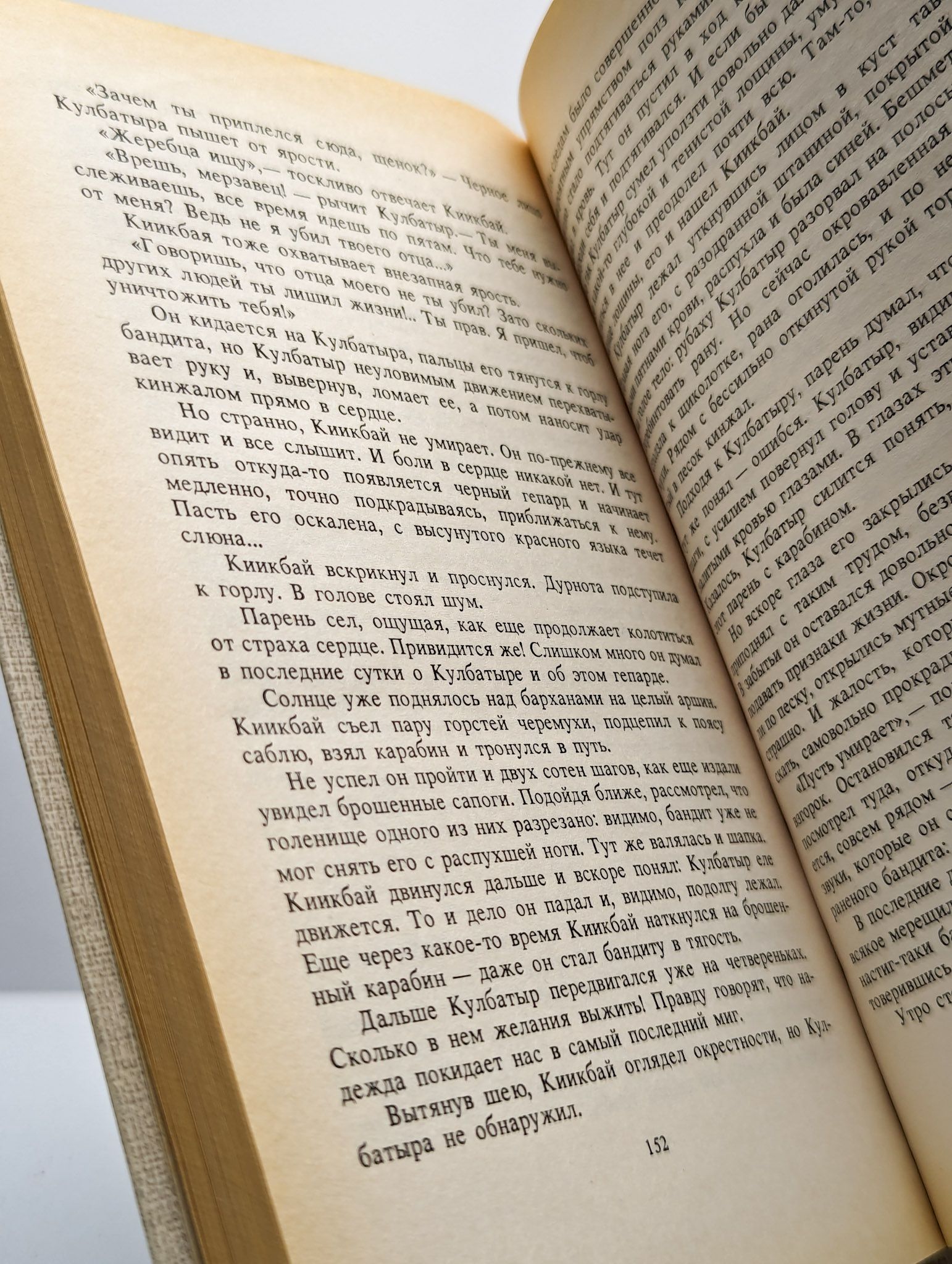 Одинокий всадник — изображение 3