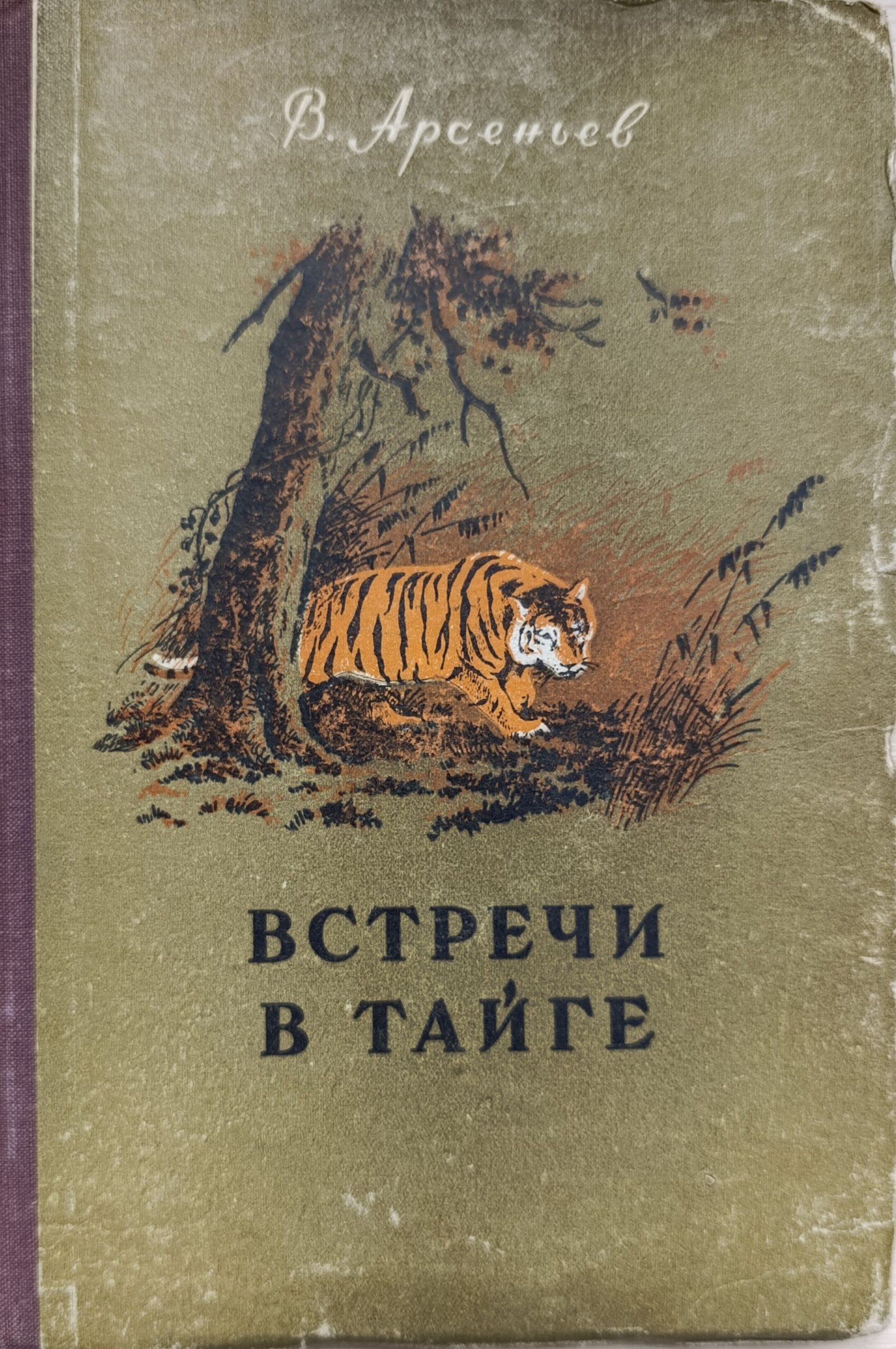 Встречи в тайге