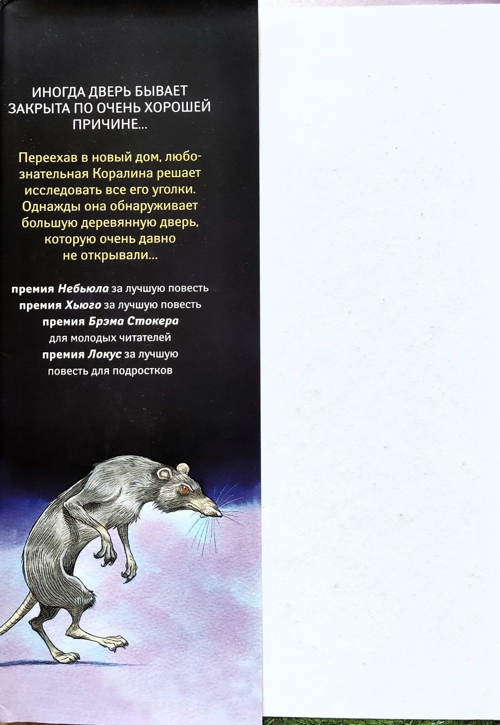 Коралина — изображение 3