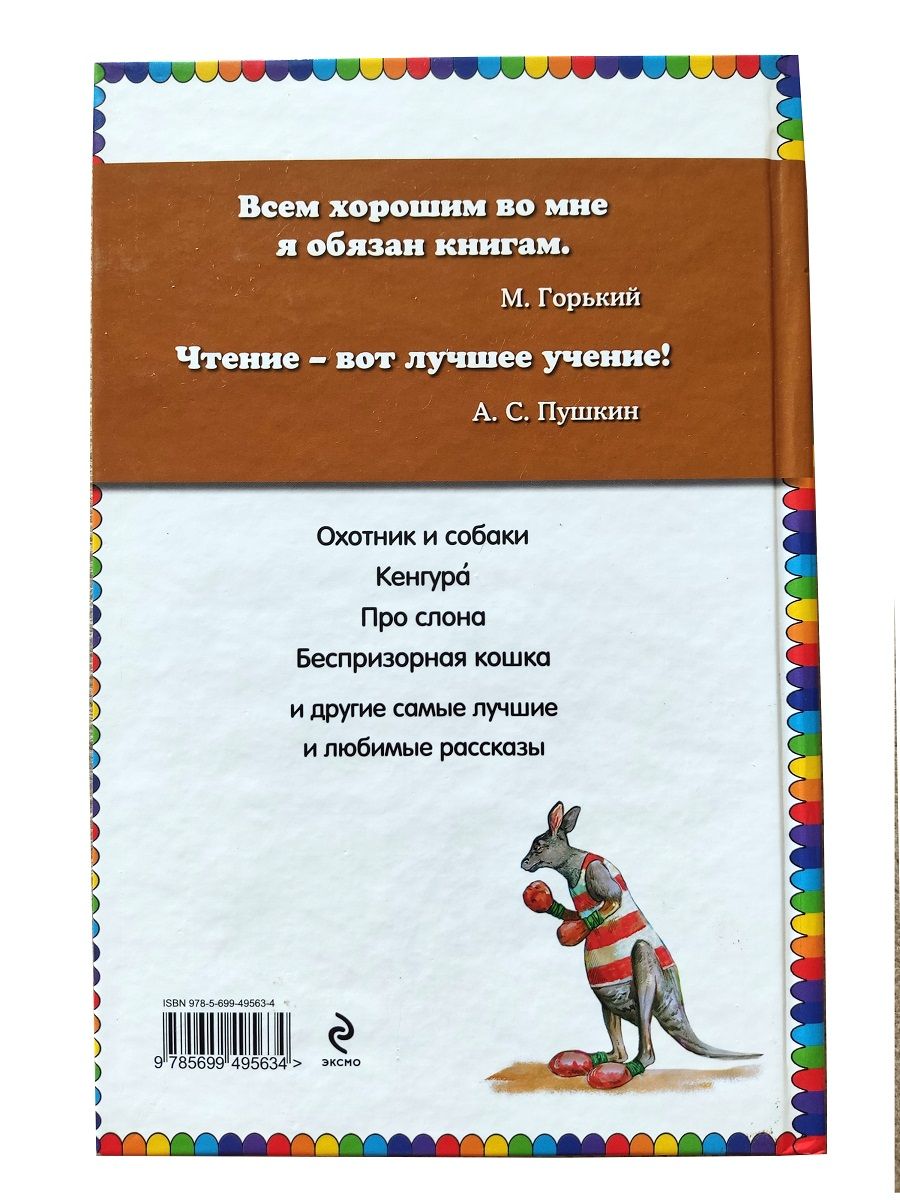 Кенгура. Сборник рассказов для детей — изображение 2