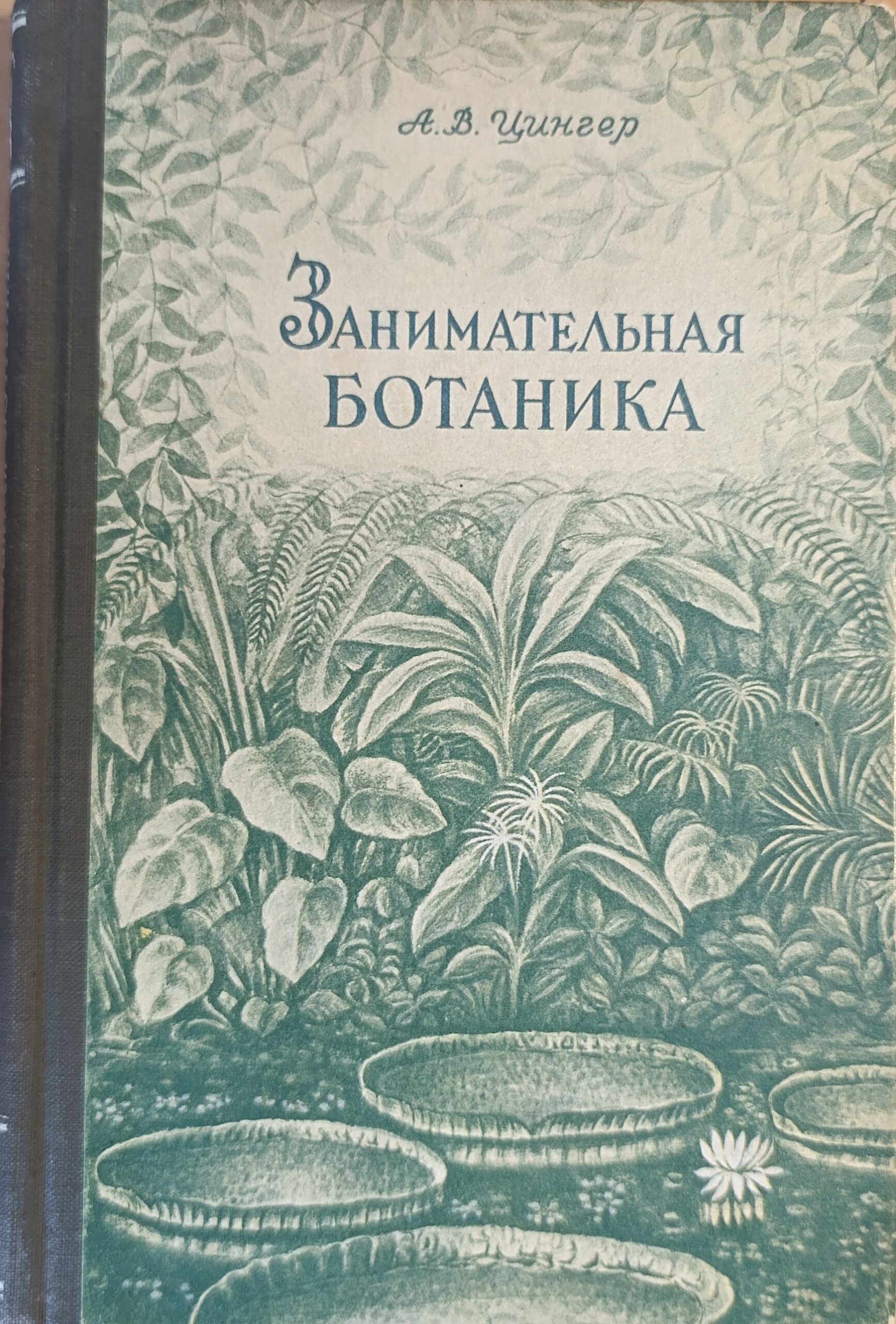 Занимательная ботаника