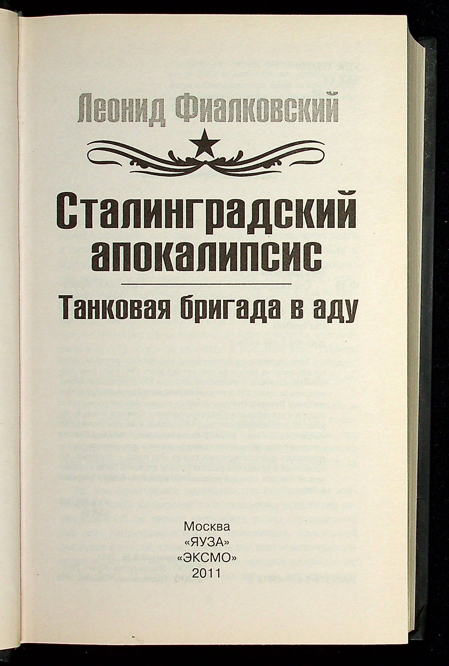 Сталинградский апокалипсис. Танковая бригада в аду — изображение 2