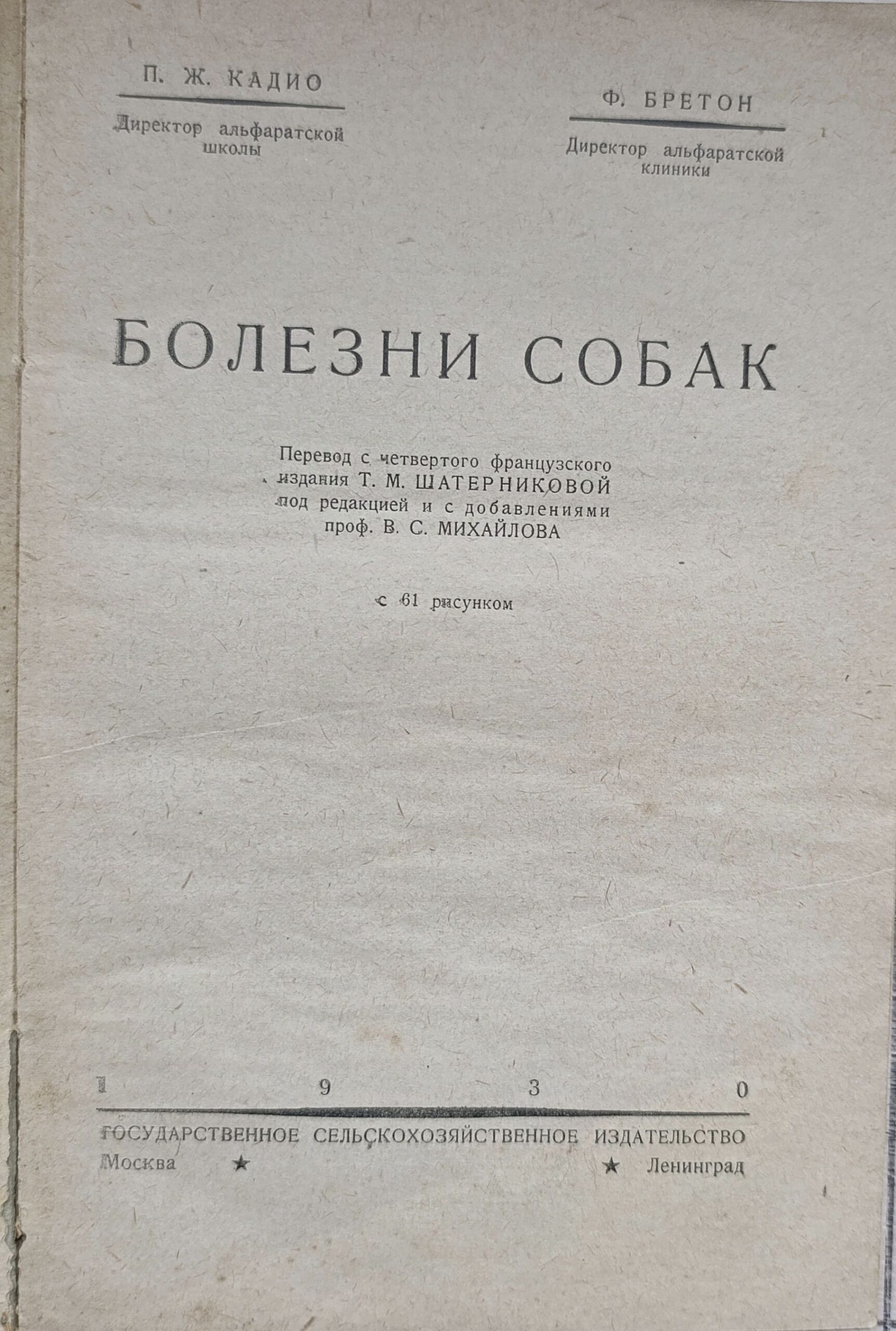 Болезни собак — изображение 2