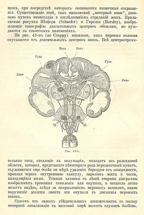 Психология — изображение 3