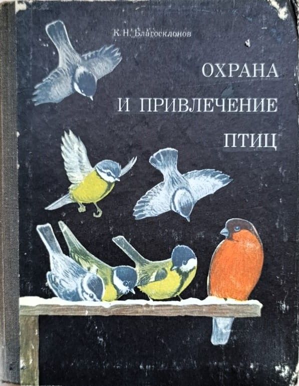 Охрана и привлечение птиц