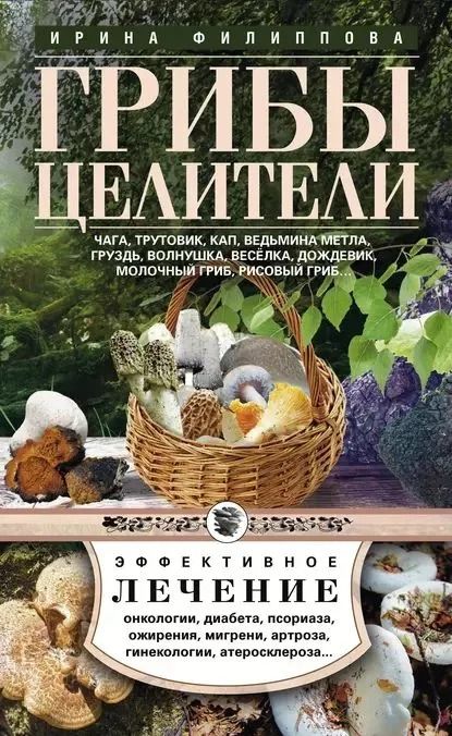 Грибы-целители. Чага, трутовик, кап, ведьмина метла и др.