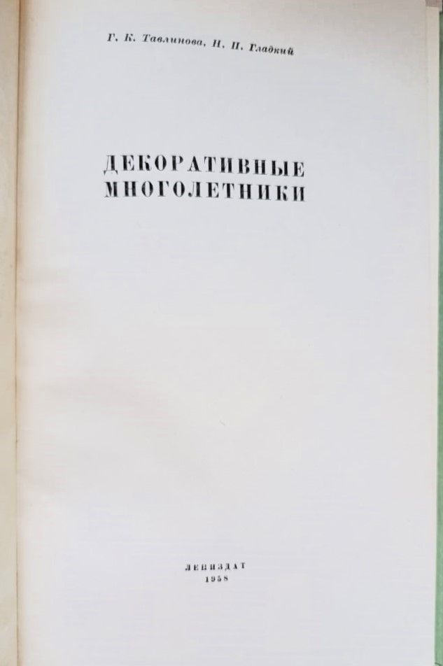 Декоративные многолетники — изображение 2