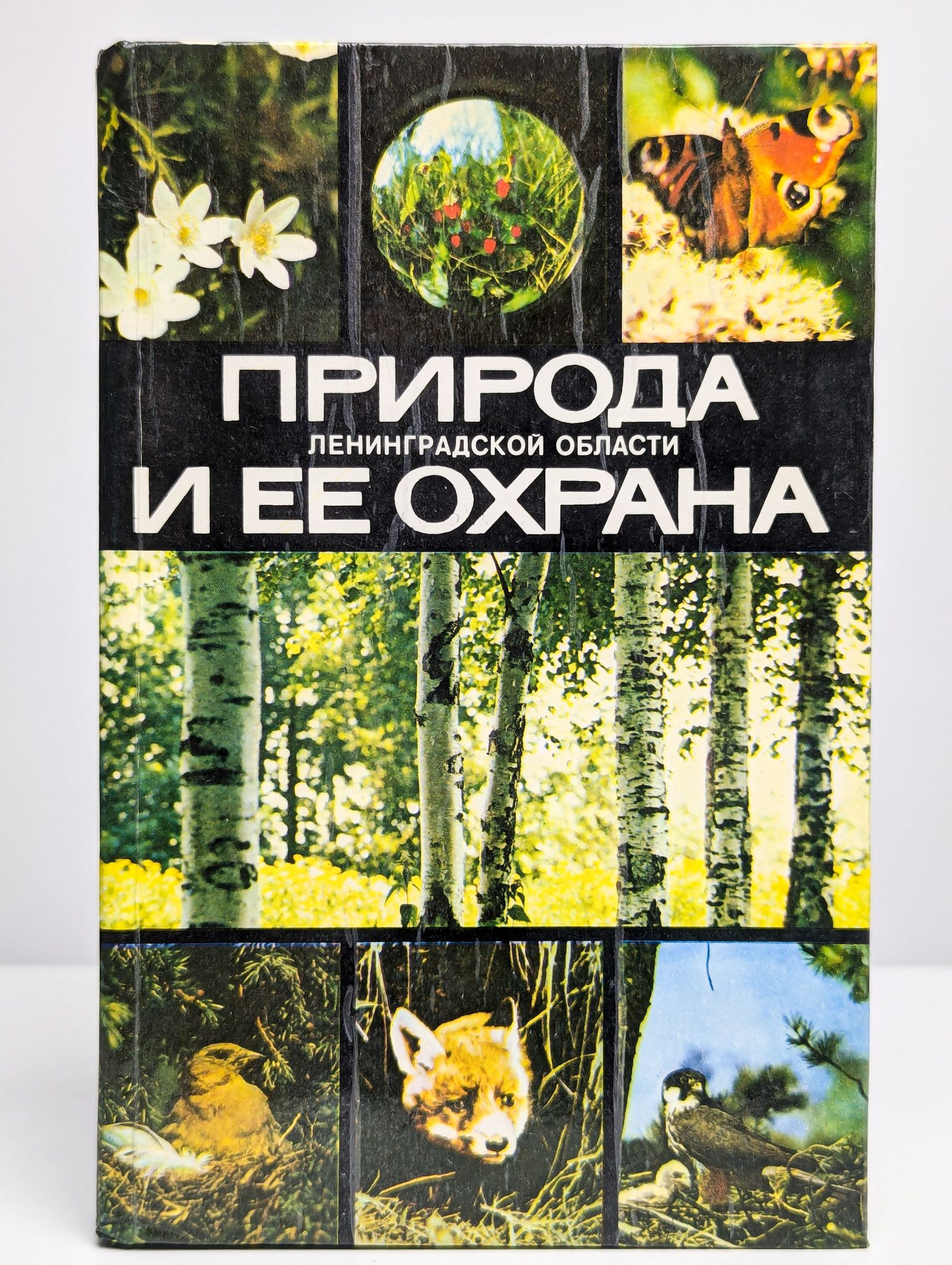 Природа Ленинградской области и ее охрана