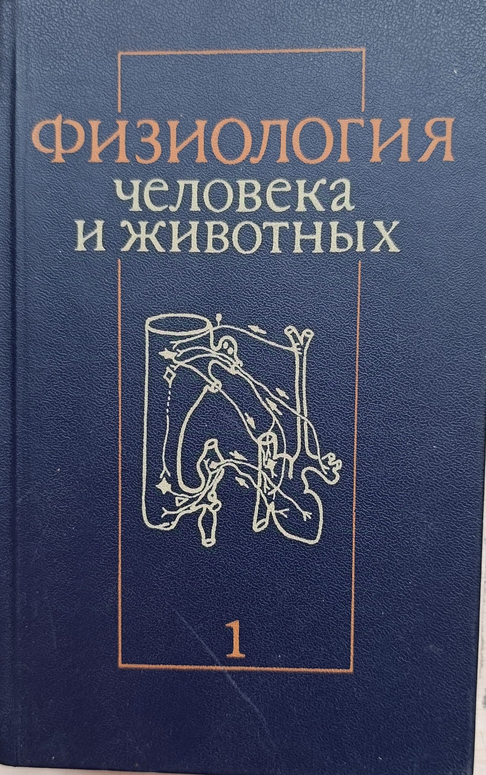 Физиология человека и животных. Комплект 2-х тт