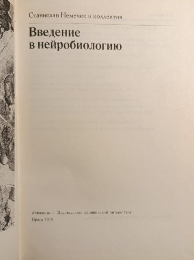 Введение в нейробиологию — изображение 3