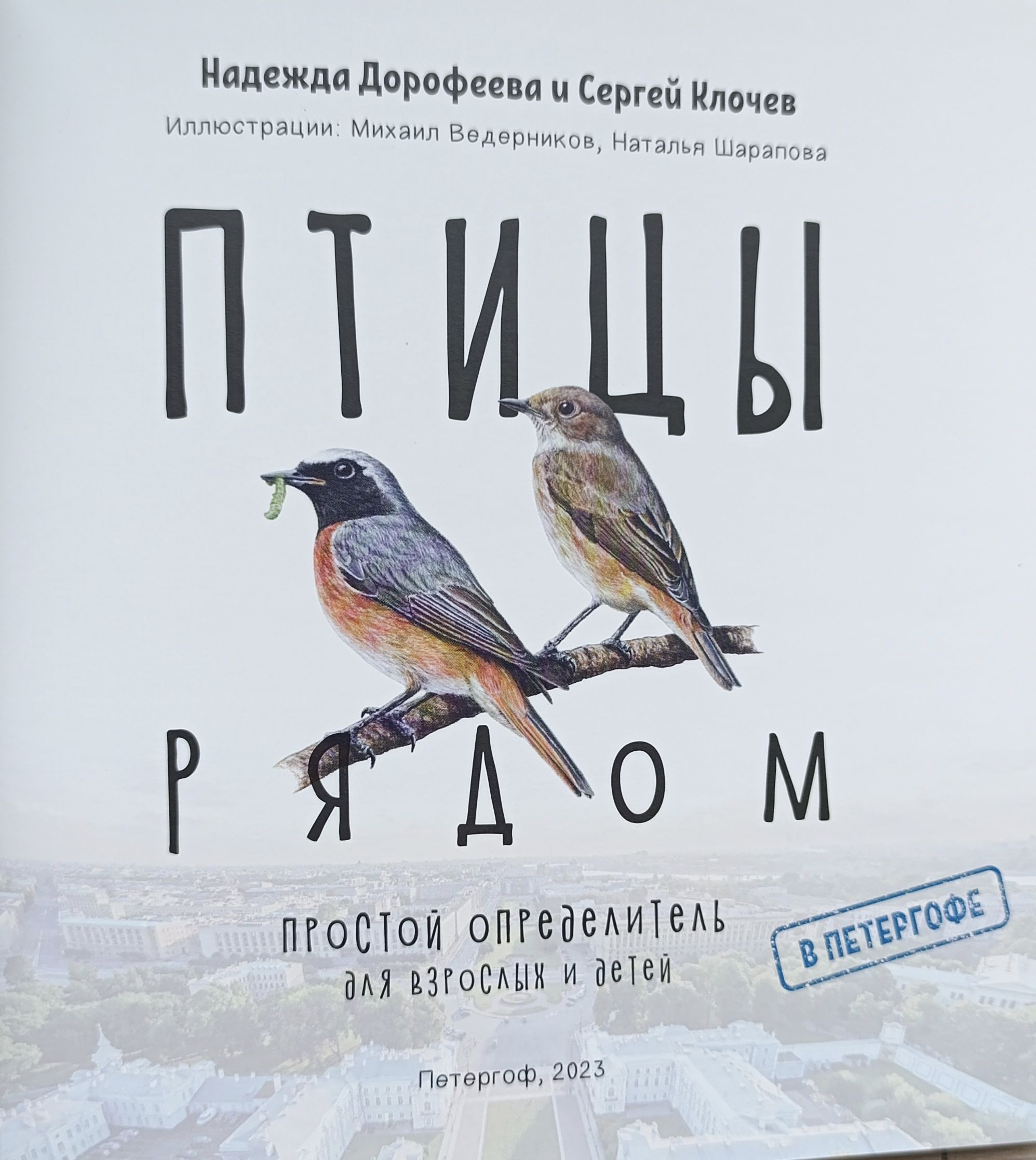 Птицы рядом. Простой определитель для взрослых и детей — изображение 2