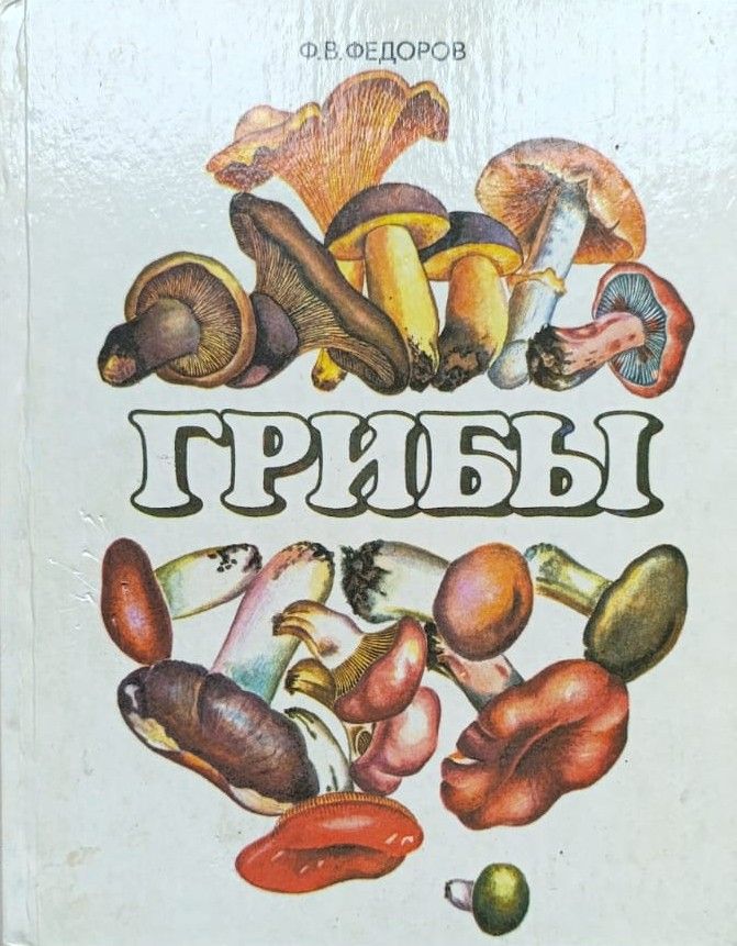 Грибы