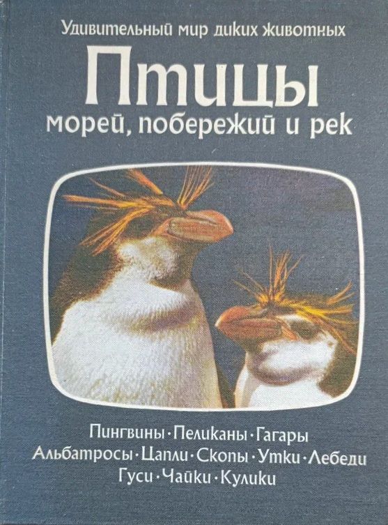 Птицы морей, побережий и рек