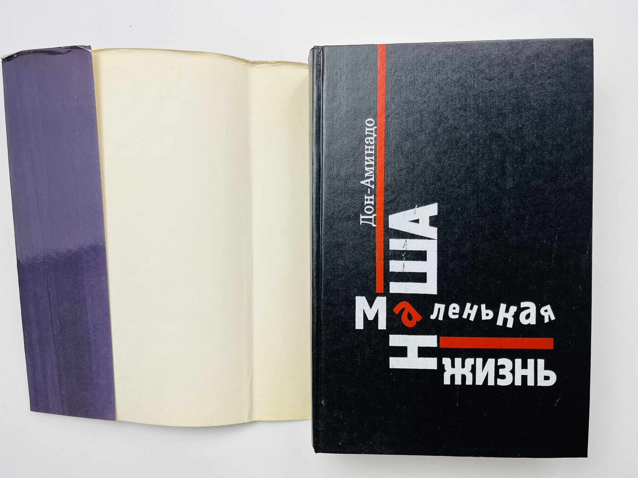 Наша маленькая жизнь. Стихотворения. Политические памфлеты. Проза. Воспоминания — изображение 2