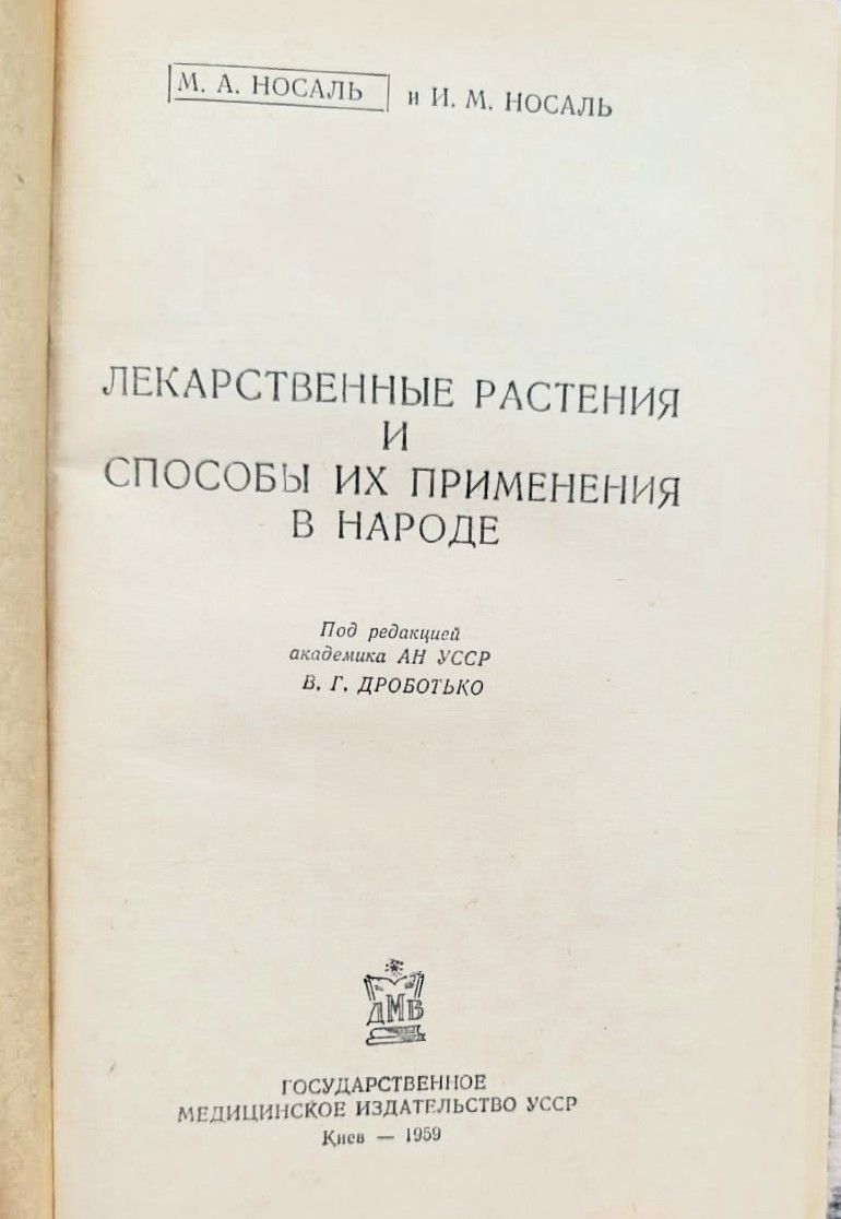 Лекарственные растения и способы их применения в народе — изображение 2