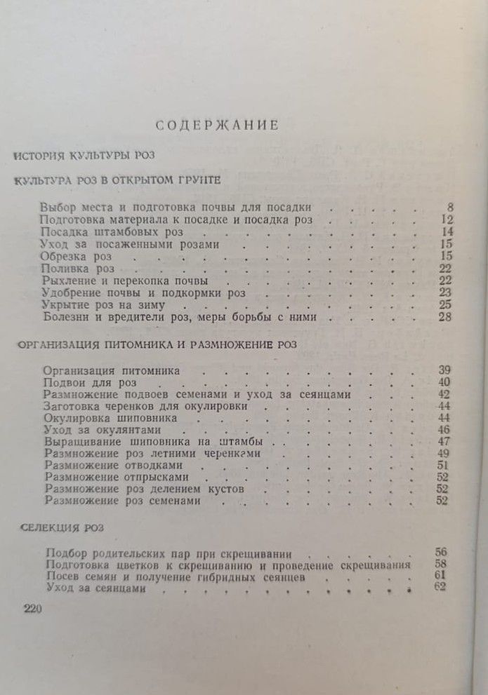 Культура роз в средней полосе CCCP — изображение 3