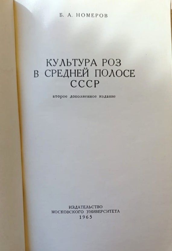 Культура роз в средней полосе CCCP — изображение 2
