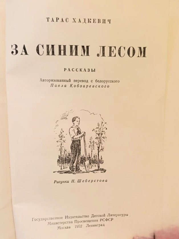 За синим лесом — изображение 2