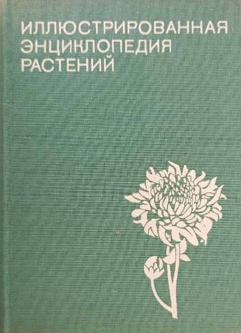 Иллюстрированная энциклопедия растений — изображение 2