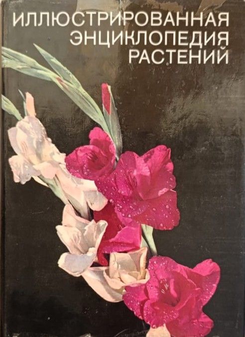 Иллюстрированная энциклопедия растений