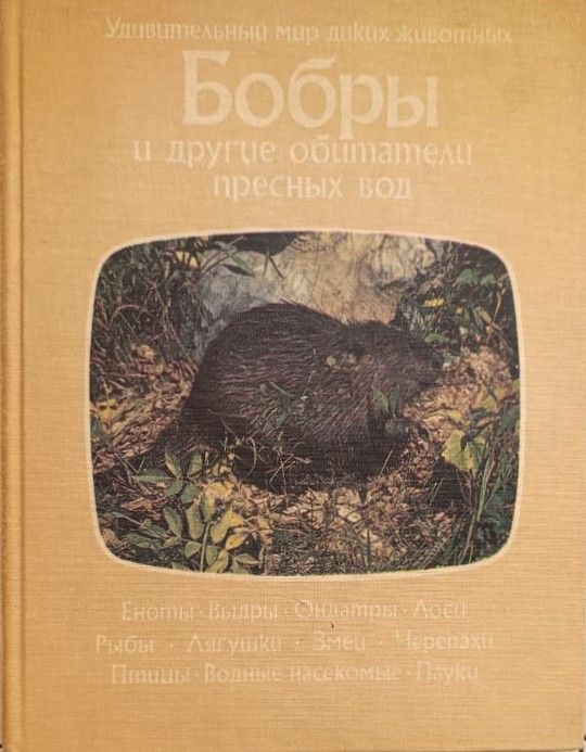 Бобры и другие обитатели пресных вод