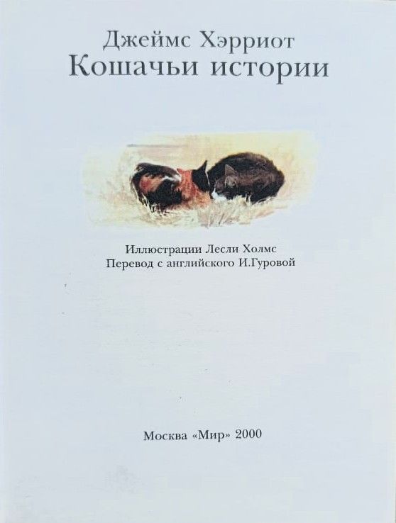 Кошачьи истории — изображение 2