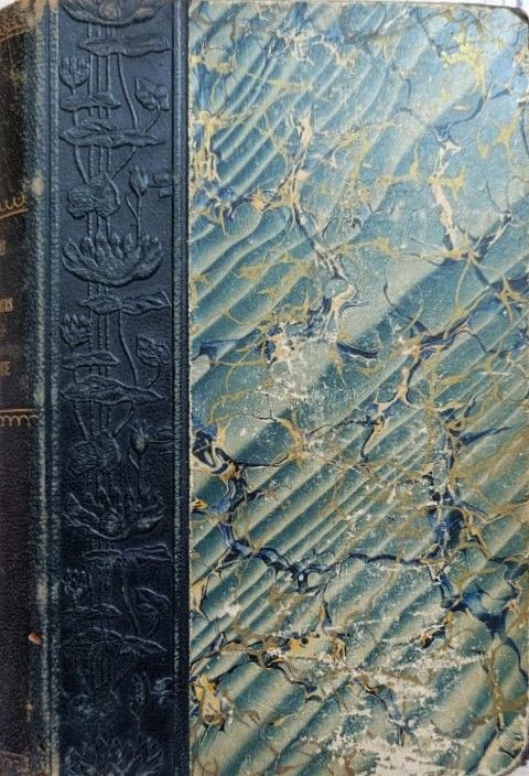 Les vingt et un jours d'un neurasth nique (Двадцать один день неврастеника (книга на французском))