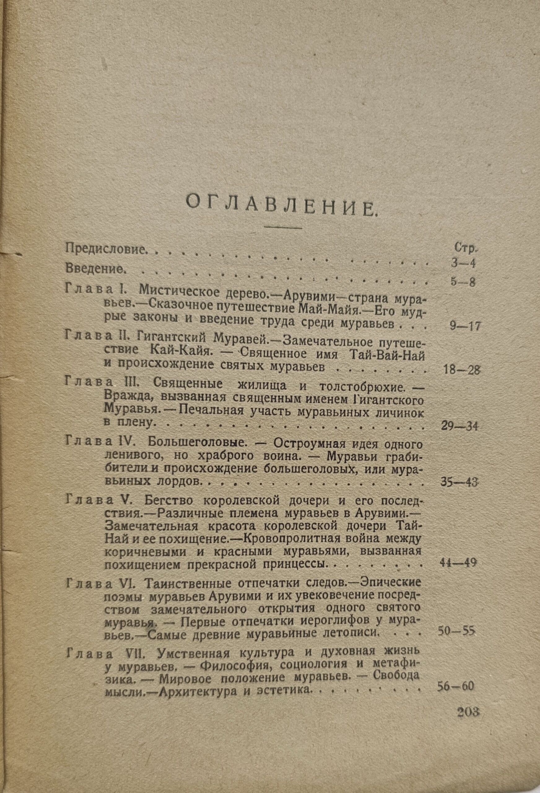 Муравьи Тимофея Тюммеля — изображение 2