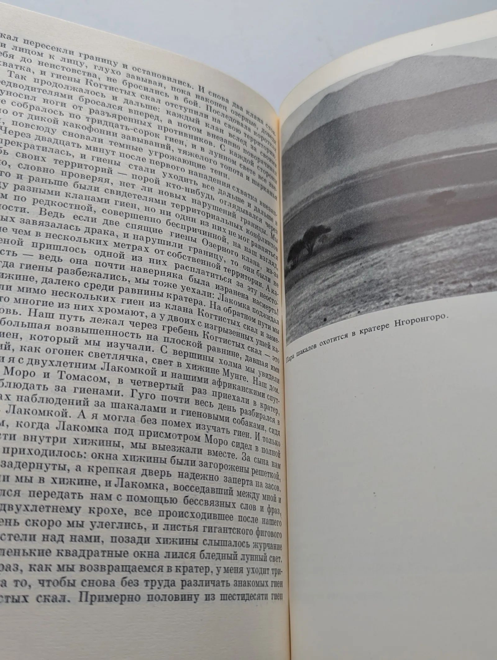 Не кричи: "Волки!". Невинные убийцы. Человек находит друга — изображение 3