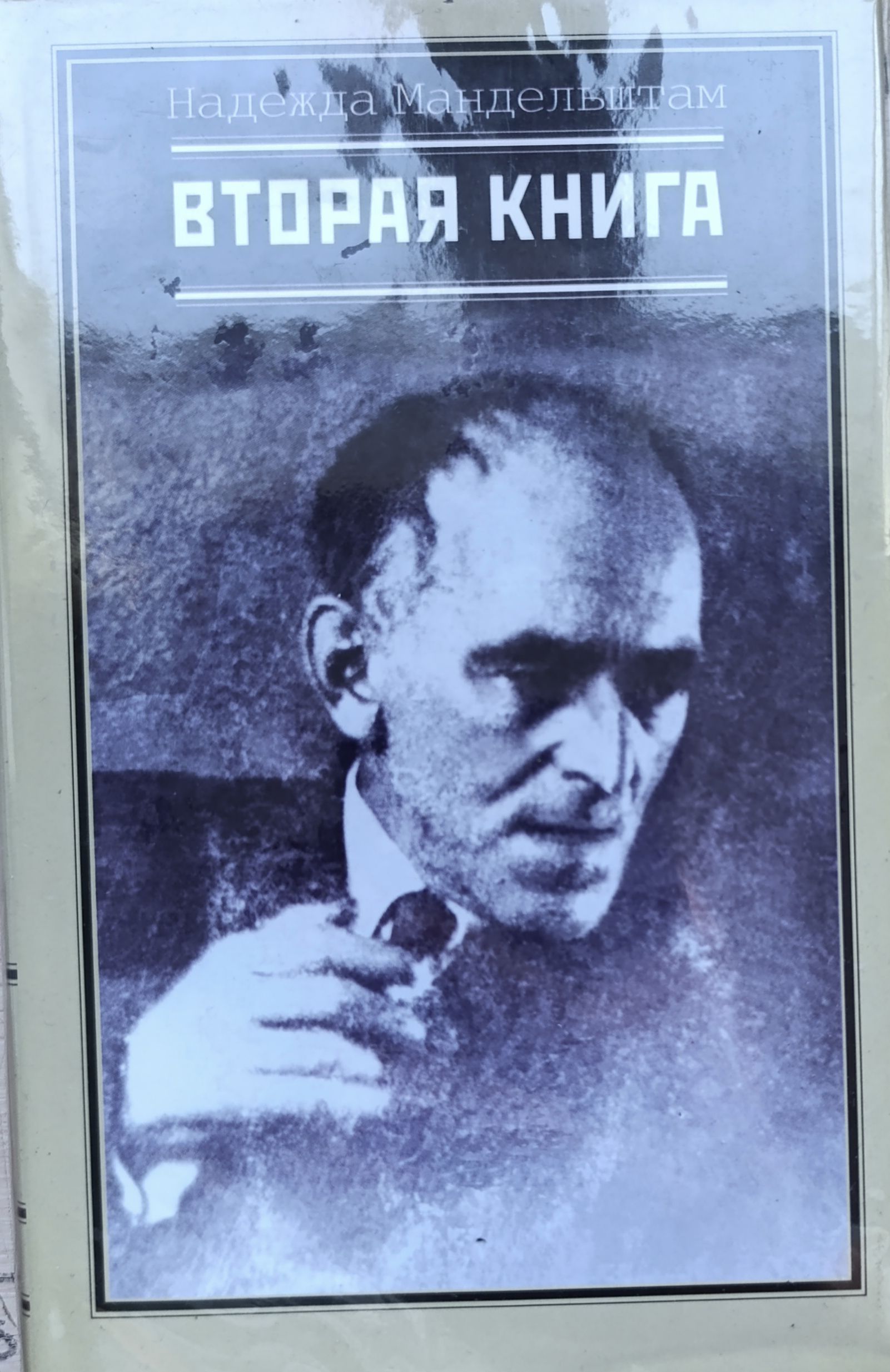Надежда Мандельштам. Вторая книга